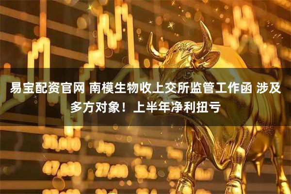 易宝配资官网 南模生物收上交所监管工作函 涉及多方对象！上半年净利扭亏