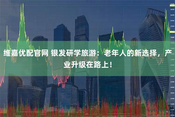 维嘉优配官网 银发研学旅游：老年人的新选择，产业升级在路上！