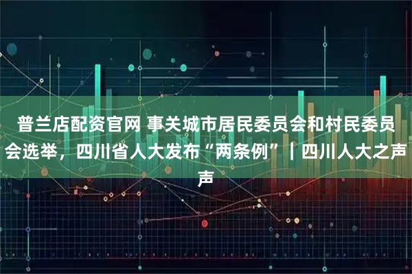 普兰店配资官网 事关城市居民委员会和村民委员会选举，四川省人大发布“两条例”｜四川人大之声