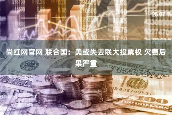 尚红网官网 联合国：美或失去联大投票权 欠费后果严重
