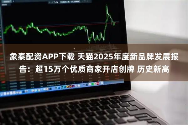 象泰配资APP下载 天猫2025年度新品牌发展报告：超15万个优质商家开店创牌 历史新高