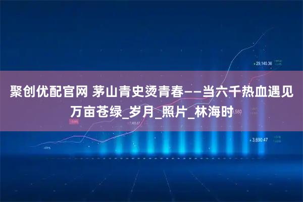 聚创优配官网 茅山青史烫青春——当六千热血遇见万亩苍绿_岁月_照片_林海时