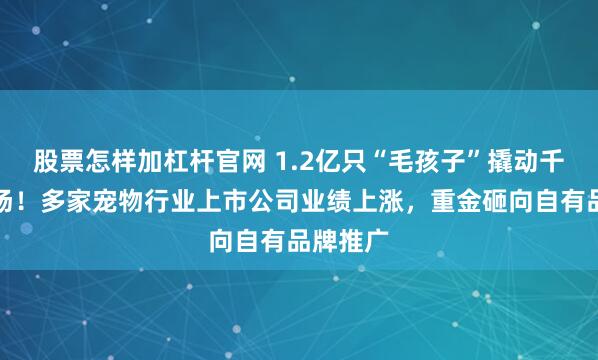 股票怎样加杠杆官网 1.2亿只“毛孩子”撬动千亿元市场！多家宠物行业上市公司业绩上涨，重金砸向自有品牌推广
